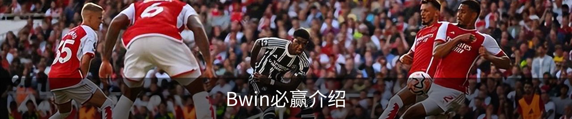 Bwin必赢介绍